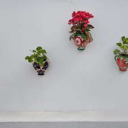 Appartamento Casa Gofio
